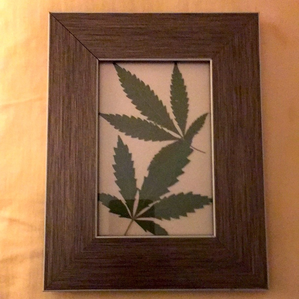Pressed hemp picture